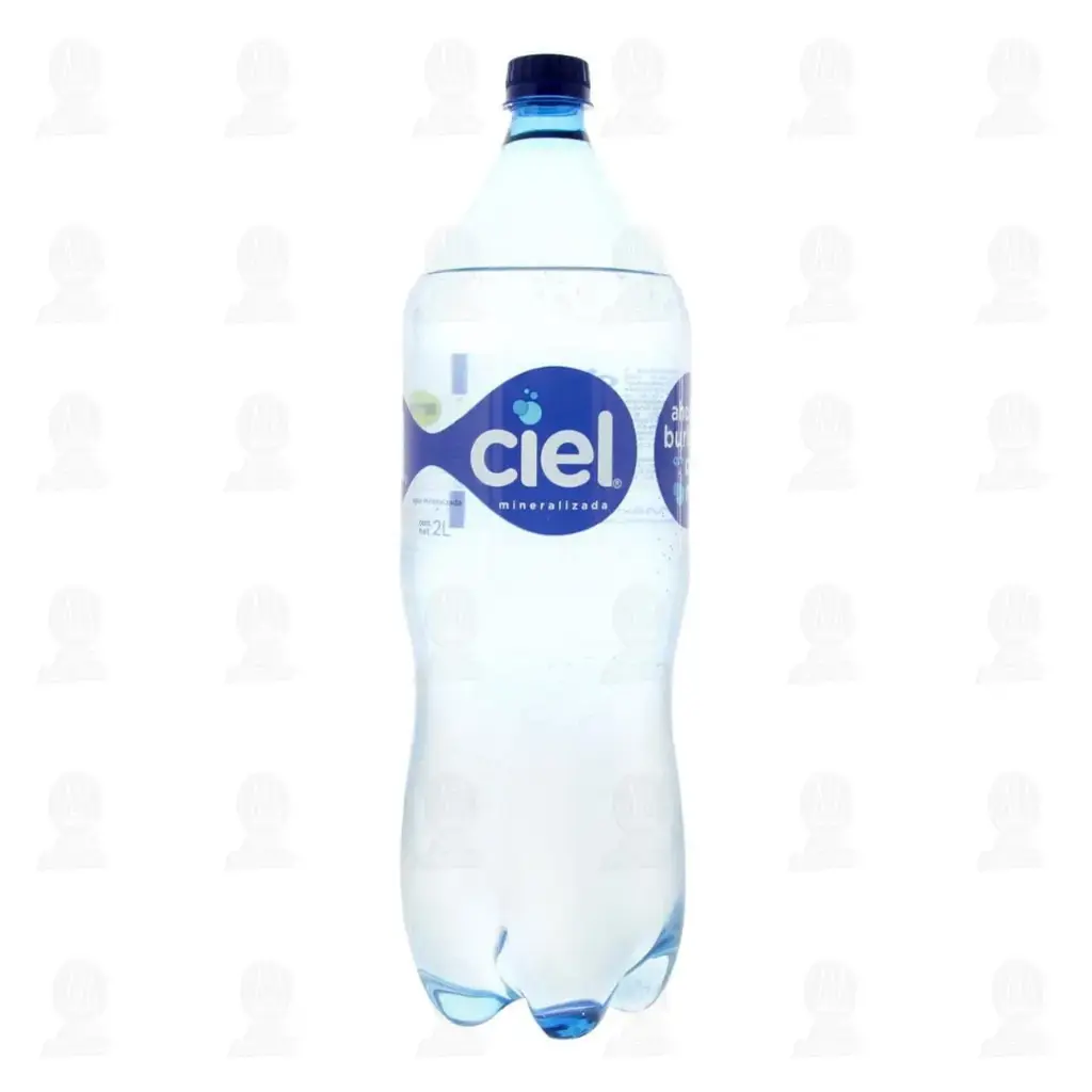 AGUA MINERAL CIEL 8/2 LT.