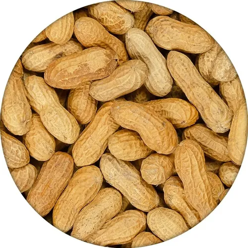BOT. CACAHUATE CON CASCARA TOSTADO GRANEL KG.
