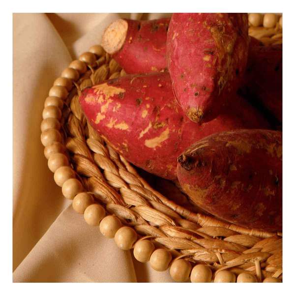 FYV. CAMOTE MORADO KG.