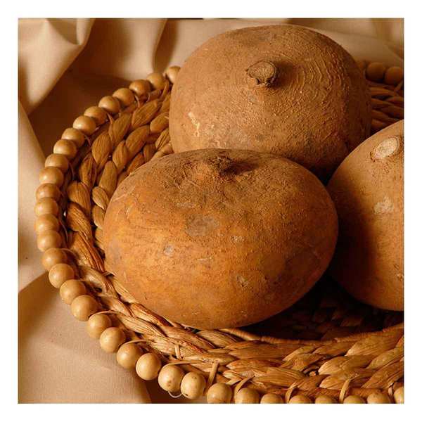 FYV. JICAMA KG.
