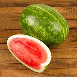 FYV. SANDIA GRANDE KG.