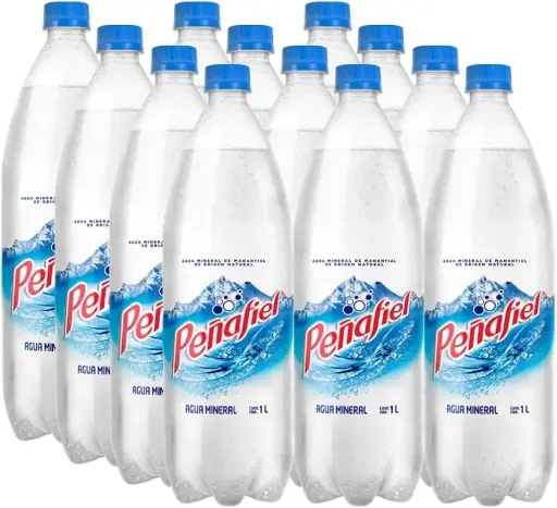 AGUA MINERAL PEÑAFIEL 12/1 LT.