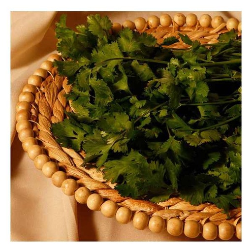 FYV. CILANTRO MANOJO GRANDE