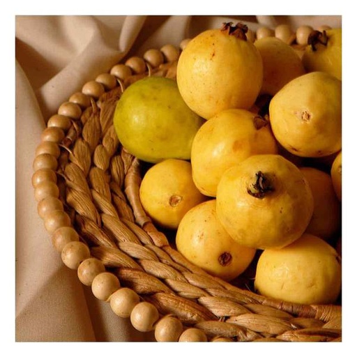 FYV. GUAYABA KG.