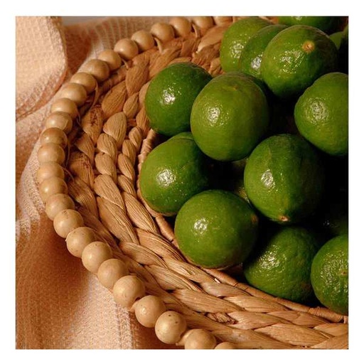 FYV. LIMON KG.