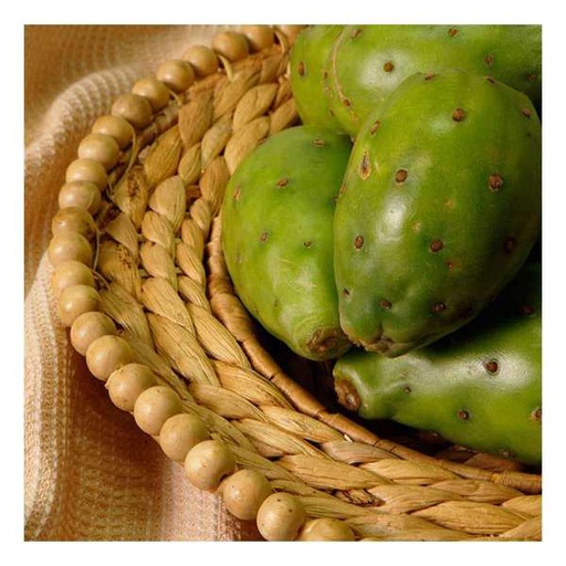 FYV. TUNA VERDE KG.