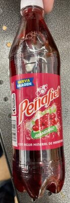 REFR. PEÑAFIEL ARANDANO 12/600 ML.