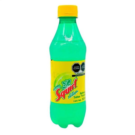 REFR. SQUIRT 24/300 ML.
