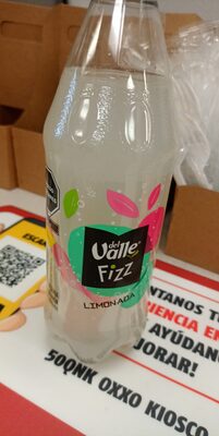 REFR. VALLE FIZZ LIMONADA 12/600 ML.