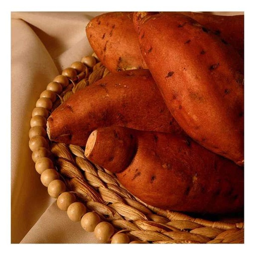 FYV. CAMOTE AMARILLO KG.